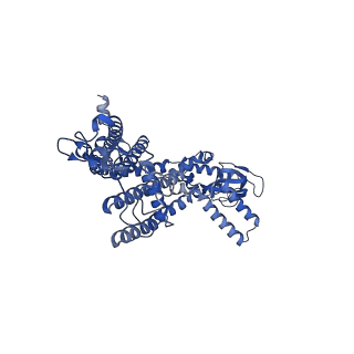 21650_6wek_B_v1-2
Structure of cGMP-bound WT TAX-4 reconstituted in lipid nanodiscs