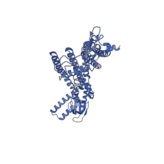21650_6wek_C_v1-2
Structure of cGMP-bound WT TAX-4 reconstituted in lipid nanodiscs