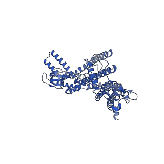 21650_6wek_D_v1-2
Structure of cGMP-bound WT TAX-4 reconstituted in lipid nanodiscs