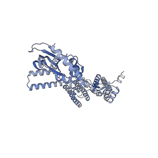 21651_6wel_A_v1-2
Structure of cGMP-unbound F403V/V407A mutant TAX-4 reconstituted in lipid nanodiscs