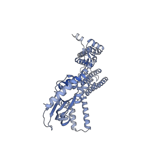21651_6wel_B_v1-2
Structure of cGMP-unbound F403V/V407A mutant TAX-4 reconstituted in lipid nanodiscs