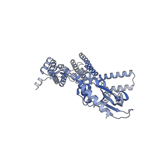 21651_6wel_C_v1-2
Structure of cGMP-unbound F403V/V407A mutant TAX-4 reconstituted in lipid nanodiscs