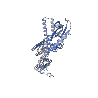 21651_6wel_D_v1-2
Structure of cGMP-unbound F403V/V407A mutant TAX-4 reconstituted in lipid nanodiscs