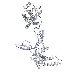 32440_7we6_A_v1-1
Structure of Csy-AcrIF24-dsDNA