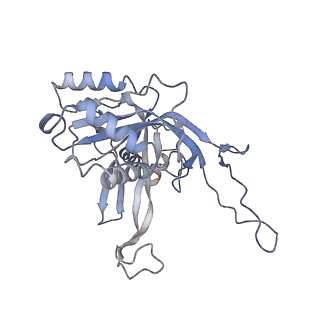 32440_7we6_B_v1-1
Structure of Csy-AcrIF24-dsDNA