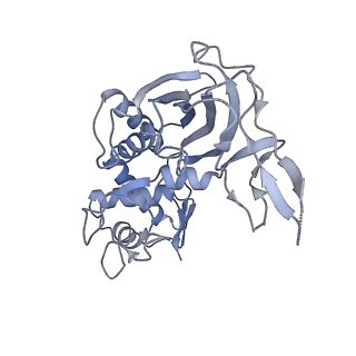 32440_7we6_C_v1-1
Structure of Csy-AcrIF24-dsDNA
