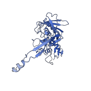 32440_7we6_D_v1-1
Structure of Csy-AcrIF24-dsDNA