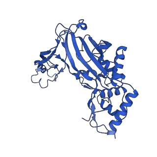 32440_7we6_F_v1-1
Structure of Csy-AcrIF24-dsDNA