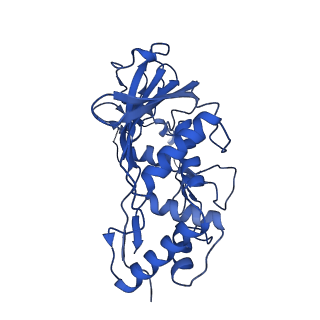 32440_7we6_G_v1-1
Structure of Csy-AcrIF24-dsDNA