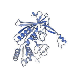 32440_7we6_H_v1-1
Structure of Csy-AcrIF24-dsDNA