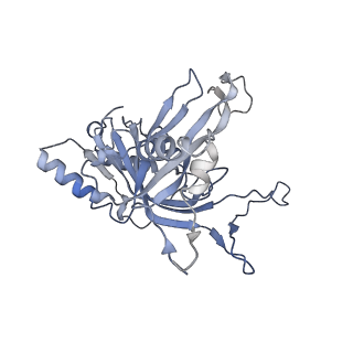 32440_7we6_L_v1-1
Structure of Csy-AcrIF24-dsDNA