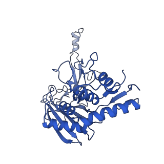 32440_7we6_N_v1-1
Structure of Csy-AcrIF24-dsDNA