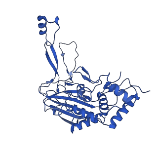32440_7we6_O_v1-1
Structure of Csy-AcrIF24-dsDNA