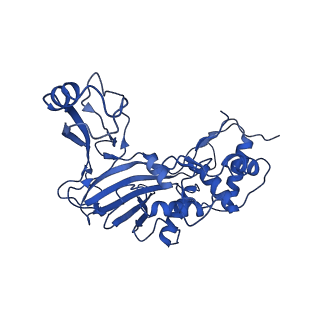 32440_7we6_P_v1-1
Structure of Csy-AcrIF24-dsDNA