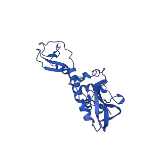 32440_7we6_U_v1-1
Structure of Csy-AcrIF24-dsDNA