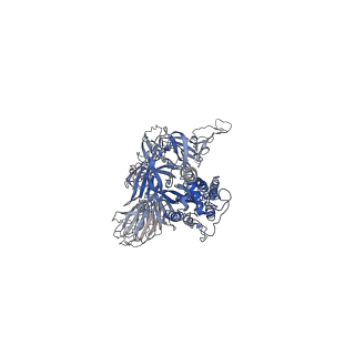 32441_7we7_D_v1-0
SARS-CoV-2 Omicron variant spike protein in complex with Fab XGv282
