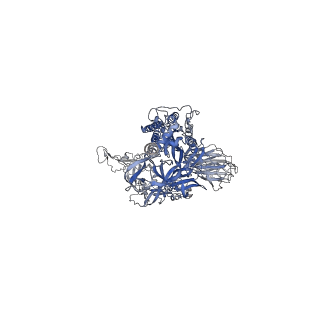 32441_7we7_E_v1-0
SARS-CoV-2 Omicron variant spike protein in complex with Fab XGv282