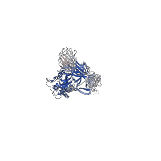 32441_7we7_G_v1-0
SARS-CoV-2 Omicron variant spike protein in complex with Fab XGv282