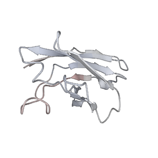 32441_7we7_H_v1-0
SARS-CoV-2 Omicron variant spike protein in complex with Fab XGv282