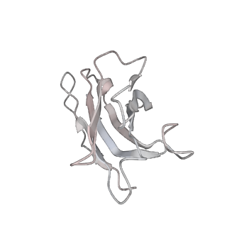 32441_7we7_J_v1-0
SARS-CoV-2 Omicron variant spike protein in complex with Fab XGv282
