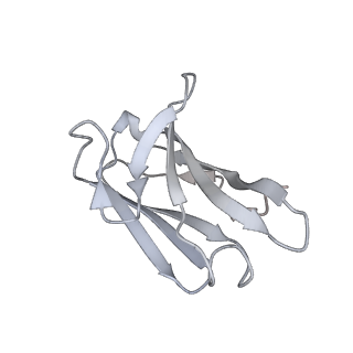 32441_7we7_L_v1-0
SARS-CoV-2 Omicron variant spike protein in complex with Fab XGv282