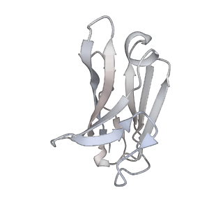 32441_7we7_M_v1-0
SARS-CoV-2 Omicron variant spike protein in complex with Fab XGv282