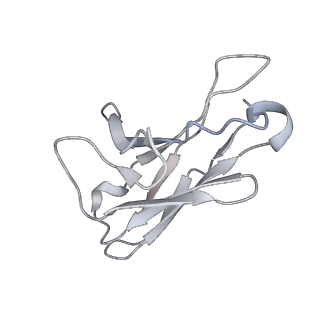 32442_7we8_L_v1-0
SARS-CoV-2 Omicron variant spike protein in complex with Fab XGv265