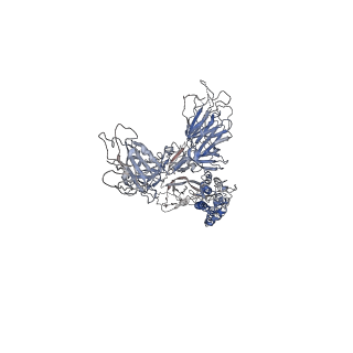 32443_7we9_A_v1-0
SARS-CoV-2 Omicron variant spike protein in complex with Fab XGv289