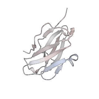 32443_7we9_H_v1-0
SARS-CoV-2 Omicron variant spike protein in complex with Fab XGv289
