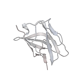 32443_7we9_I_v1-0
SARS-CoV-2 Omicron variant spike protein in complex with Fab XGv289