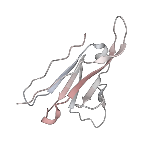 32443_7we9_K_v1-0
SARS-CoV-2 Omicron variant spike protein in complex with Fab XGv289