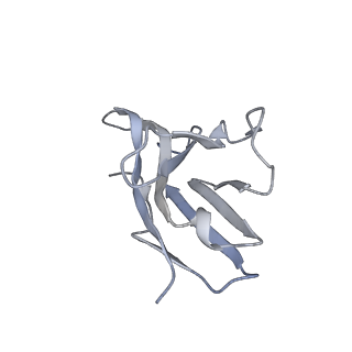 32443_7we9_L_v1-0
SARS-CoV-2 Omicron variant spike protein in complex with Fab XGv289