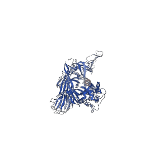 32446_7wec_A_v1-0
SARS-CoV-2 Omicron variant spike protein with three XGv347 Fabs binding to three closed state RBDs