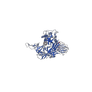 32446_7wec_B_v1-0
SARS-CoV-2 Omicron variant spike protein with three XGv347 Fabs binding to three closed state RBDs