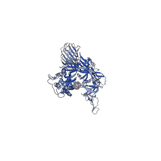 32446_7wec_C_v1-0
SARS-CoV-2 Omicron variant spike protein with three XGv347 Fabs binding to three closed state RBDs