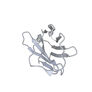 32446_7wec_G_v1-0
SARS-CoV-2 Omicron variant spike protein with three XGv347 Fabs binding to three closed state RBDs