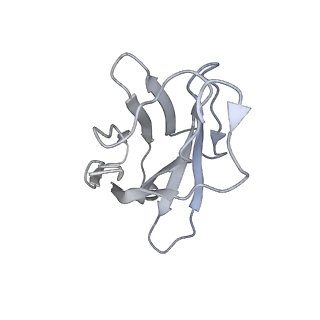 32446_7wec_I_v1-0
SARS-CoV-2 Omicron variant spike protein with three XGv347 Fabs binding to three closed state RBDs