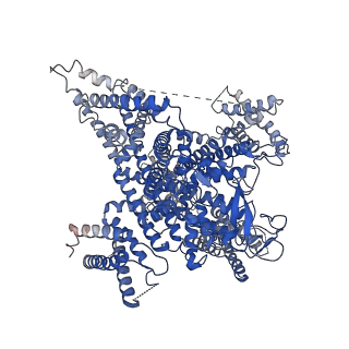 37472_8we6_A_v1-0
Human L-type voltage-gated calcium channel Cav1.2 at 2.9 Angstrom resolution