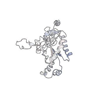 37472_8we6_C_v1-0
Human L-type voltage-gated calcium channel Cav1.2 at 2.9 Angstrom resolution