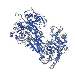 37472_8we6_D_v1-0
Human L-type voltage-gated calcium channel Cav1.2 at 2.9 Angstrom resolution