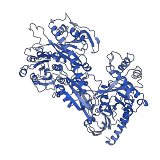 37473_8we7_D_v1-0
Human L-type voltage-gated calcium channel Cav1.2 in the presence of calciseptine at 3.2 Angstrom resolution