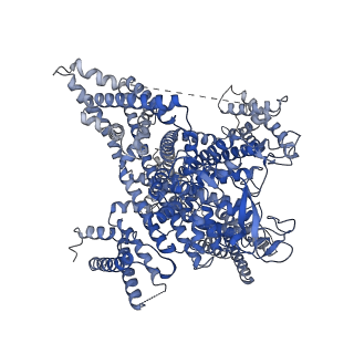 37474_8we8_A_v1-0
Human L-type voltage-gated calcium channel Cav1.2 in the presence of calciseptine, amlodipine and pinaverium at 2.9 Angstrom resolution
