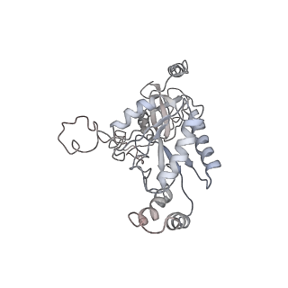 37474_8we8_C_v1-0
Human L-type voltage-gated calcium channel Cav1.2 in the presence of calciseptine, amlodipine and pinaverium at 2.9 Angstrom resolution