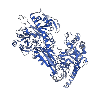 37474_8we8_D_v1-0
Human L-type voltage-gated calcium channel Cav1.2 in the presence of calciseptine, amlodipine and pinaverium at 2.9 Angstrom resolution