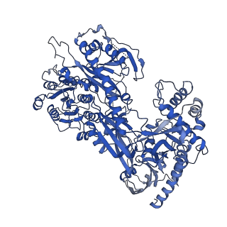 37475_8we9_D_v1-0
Human L-type voltage-gated calcium channel Cav1.2 (Class I) in the presence of pinaverium at 3.0 Angstrom resolution