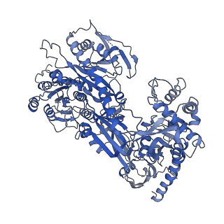 37476_8wea_D_v1-0
Human L-type voltage-gated calcium channel Cav1.2 (Class II) in the presence of pinaverium at 3.2 Angstrom resolution