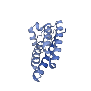 37477_8wej_A_v1-0
Structure of human phagocyte NADPH oxidase in the activated state