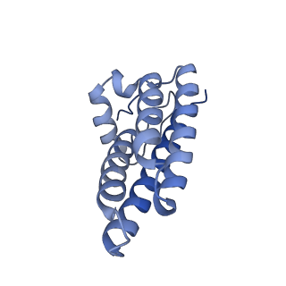 37477_8wej_A_v1-2
Structure of human phagocyte NADPH oxidase in the activated state