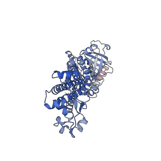 37477_8wej_B_v1-0
Structure of human phagocyte NADPH oxidase in the activated state