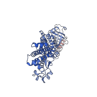 37477_8wej_B_v1-2
Structure of human phagocyte NADPH oxidase in the activated state